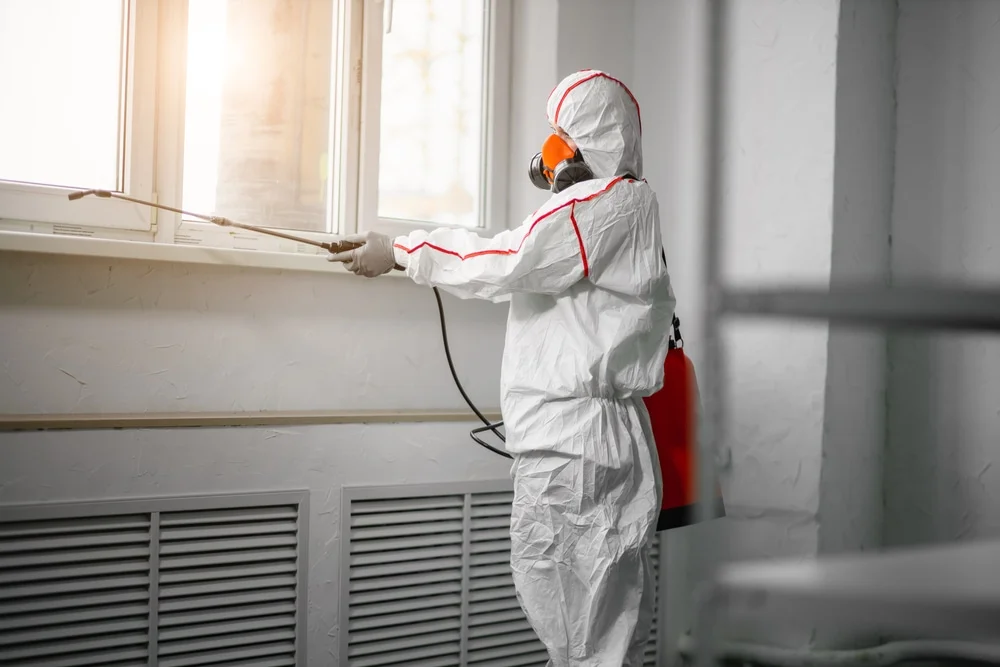 Professional mold remediation services in Diana, TX